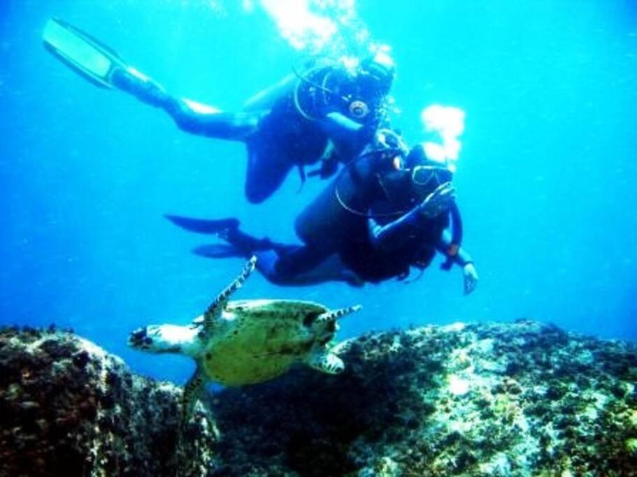 Caribe Brasileiro A 2 Passos Da Areia Lägenhet Arraial do Cabo Exteriör bild