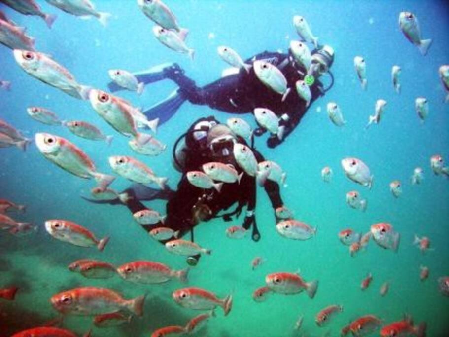 Caribe Brasileiro A 2 Passos Da Areia Lägenhet Arraial do Cabo Exteriör bild